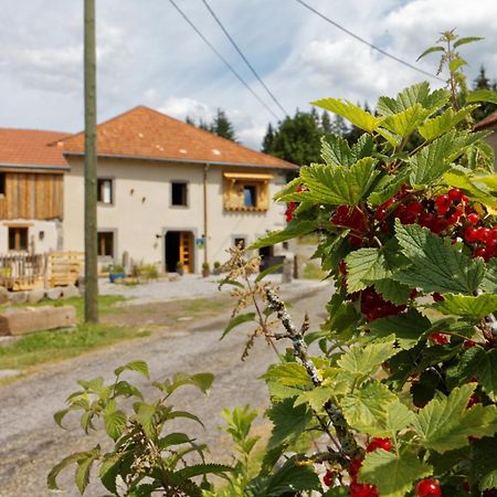 La Ferme De Jean Entre Lacs Et Montagnes Saulxures-sur-Moselotte Luaran gambar