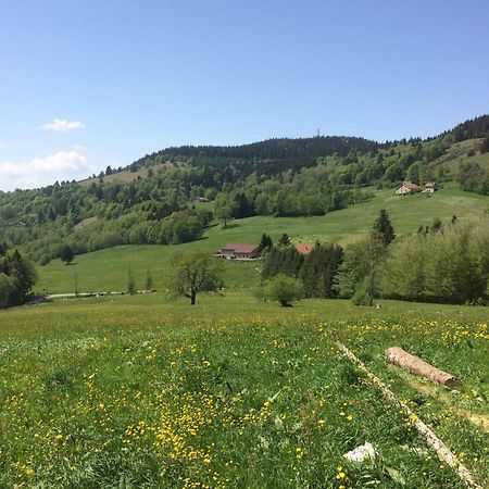 La Ferme De Jean Entre Lacs Et Montagnes Saulxures-sur-Moselotte Luaran gambar