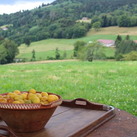 La Ferme De Jean Entre Lacs Et Montagnes Saulxures-sur-Moselotte Luaran gambar