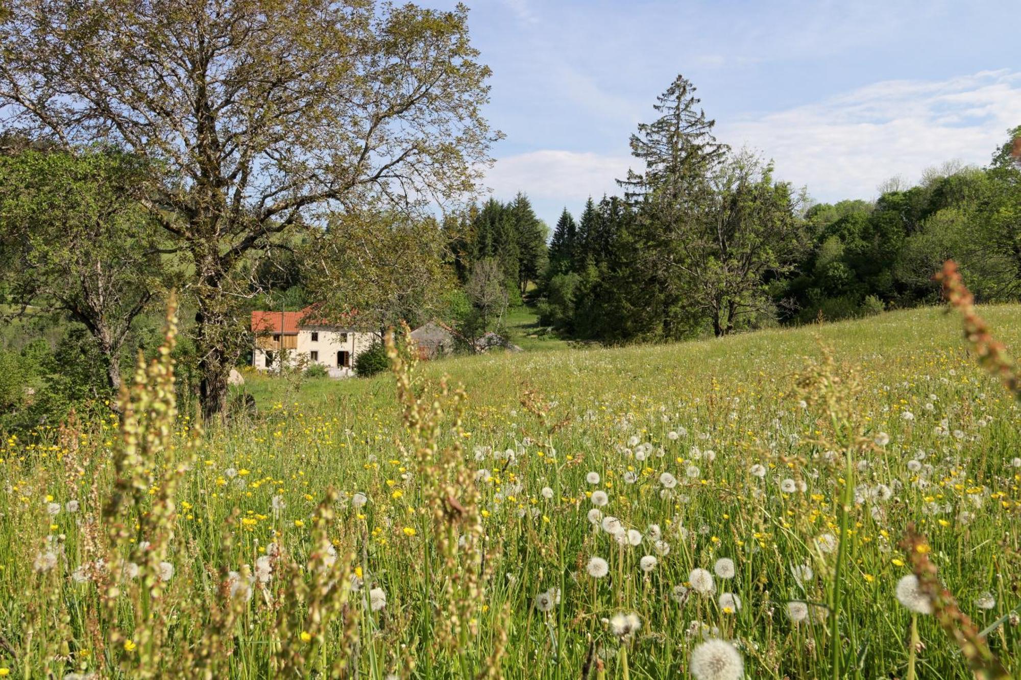 La Ferme De Jean Entre Lacs Et Montagnes Saulxures-sur-Moselotte Luaran gambar