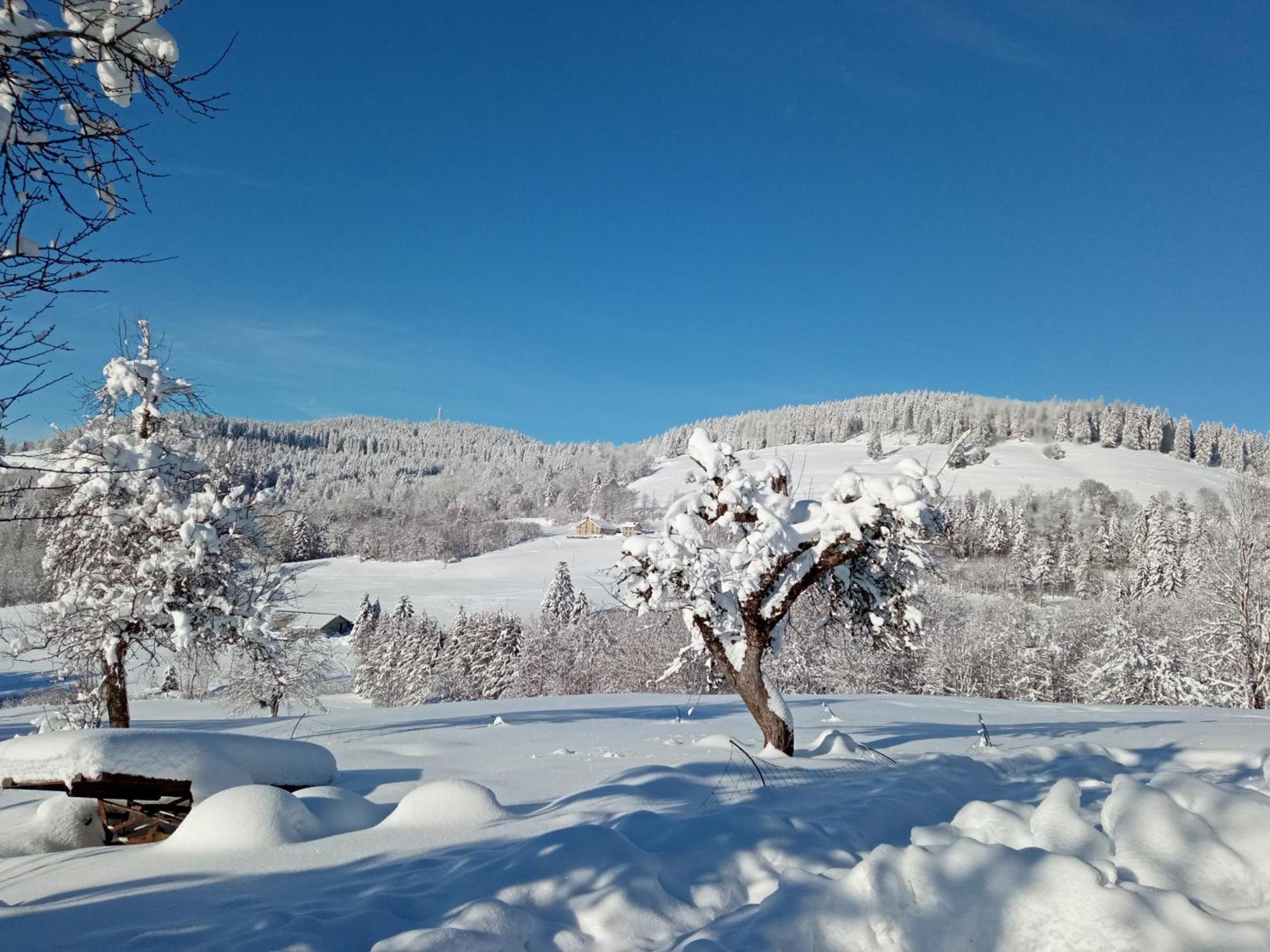 La Ferme De Jean Entre Lacs Et Montagnes Saulxures-sur-Moselotte Luaran gambar
