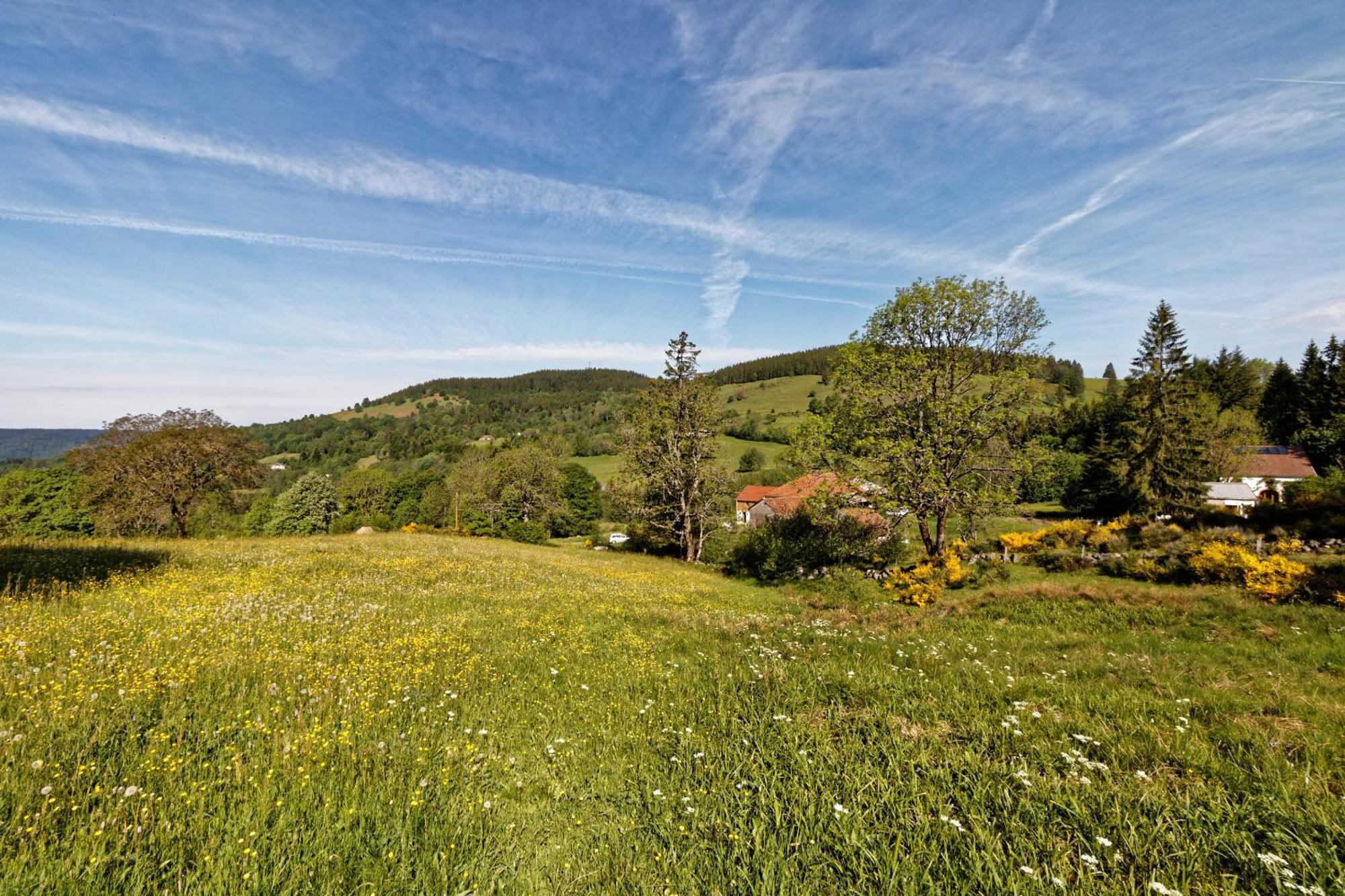La Ferme De Jean Entre Lacs Et Montagnes Saulxures-sur-Moselotte Luaran gambar