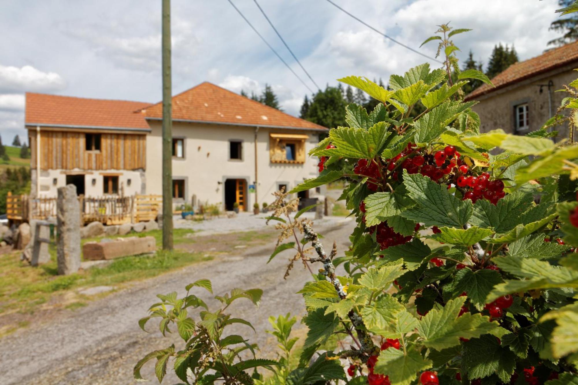 La Ferme De Jean Entre Lacs Et Montagnes Saulxures-sur-Moselotte Luaran gambar